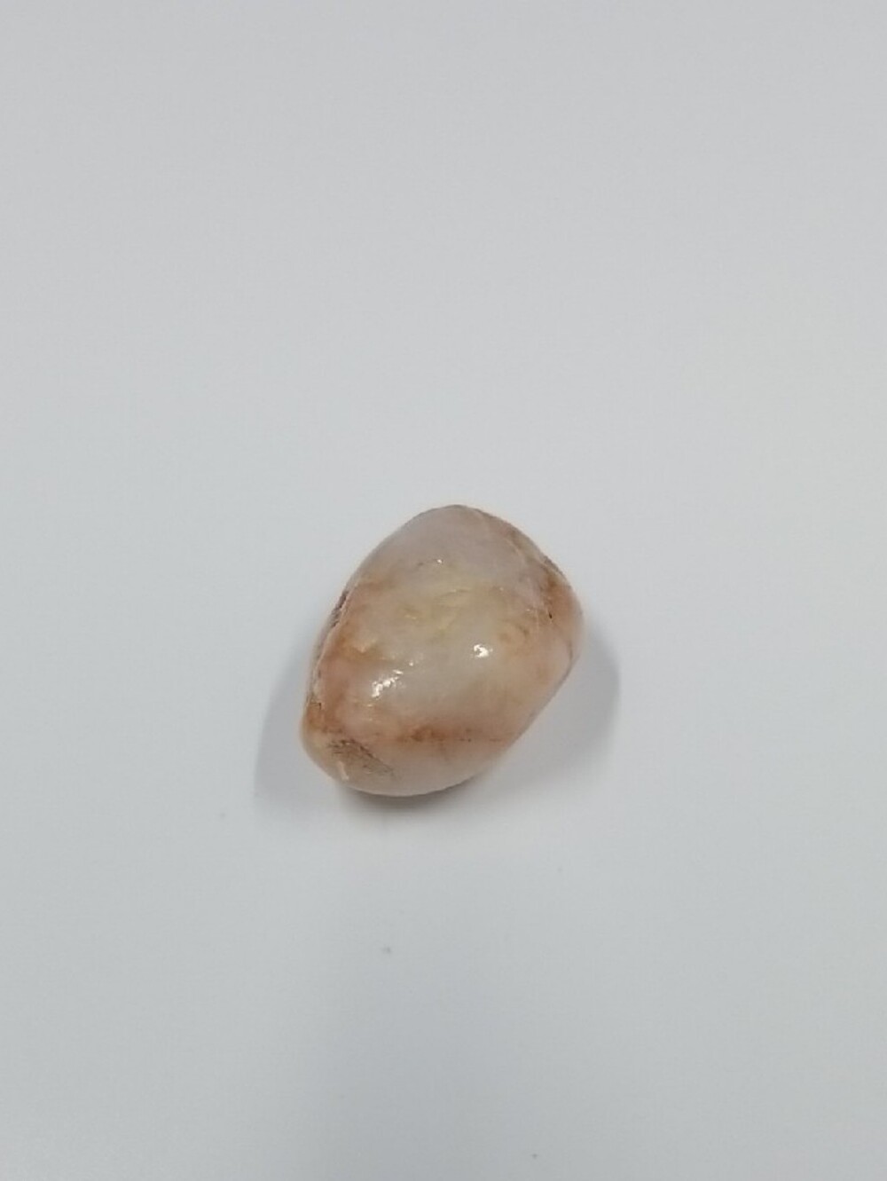 Varnished Rock Specimen - White And Rust, Small